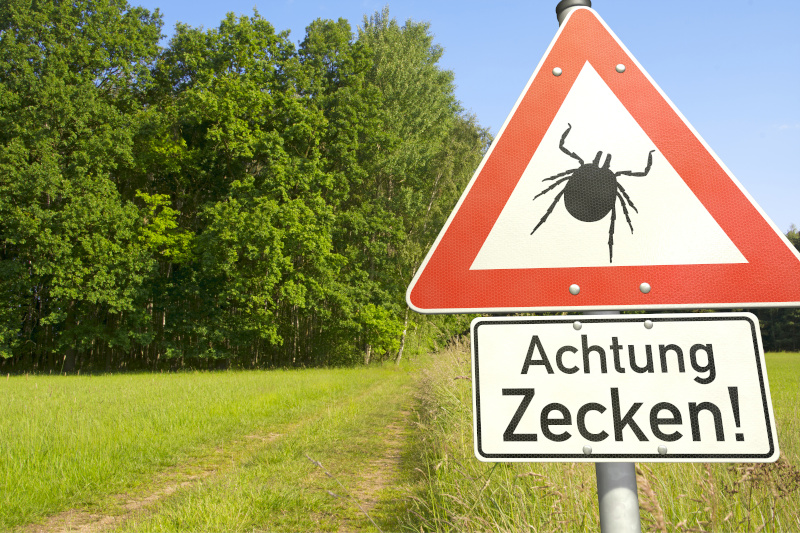 Zecken-FSME